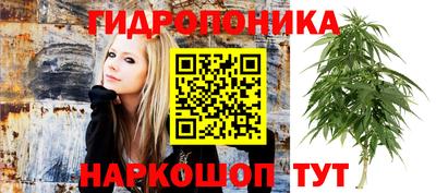 трава Севастополь