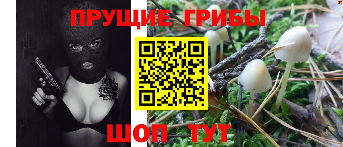 хочу наркоту  Вход с VPN  Печора  Псилоцибиновые грибы MAGIC MUSHROOMS 