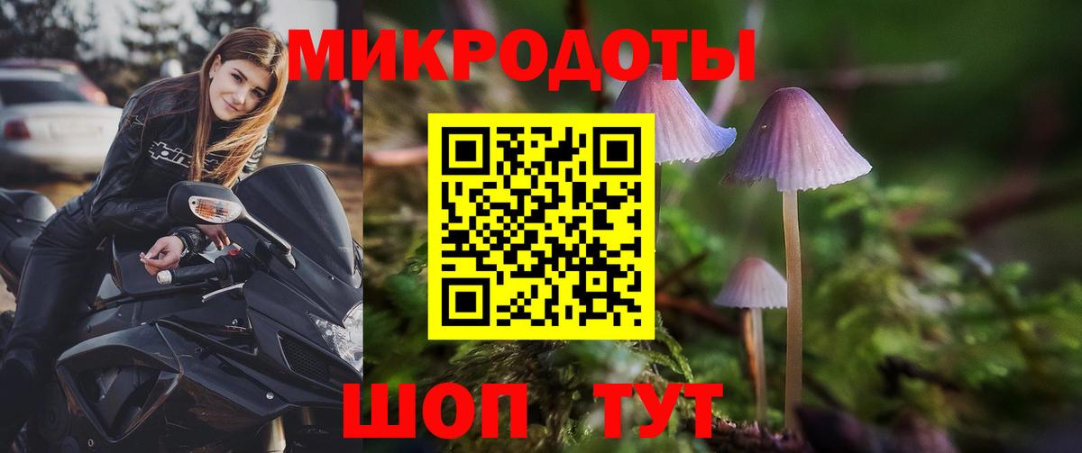 Псилоцибиновые грибы MAGIC MUSHROOMS Печора